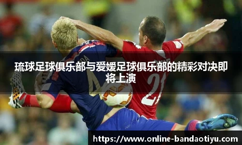 bob半岛体育
